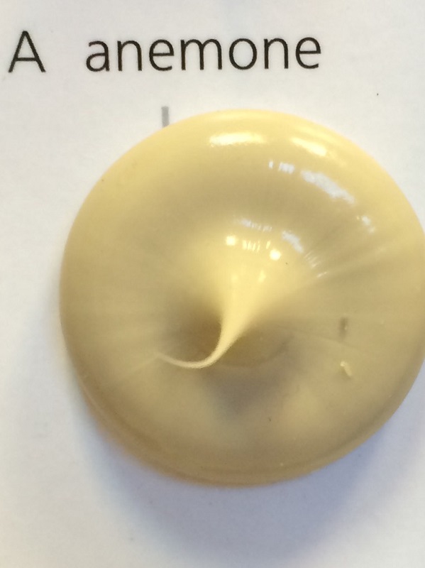 Силикон Ramsauer 450 анемон / anemone (RAL 1002)